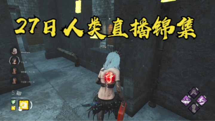 秋秋の杀鸡 人类直播片段