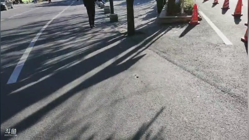 【2025-11-27 完整版】金甲EzNpc：【ZooM电竞】名人堂投兰林汉