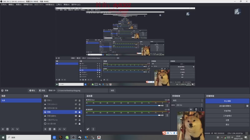 【2025-11-26 23点场】祈风1v9：国服第一VN！DK首发ADC！