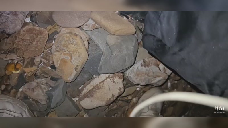 【2025-11-28 20点场】驴酱的冯雨大王：冯雨：还在高速上，预计十二点半来！