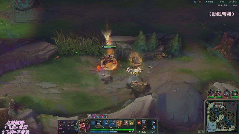 【2025-11-28 01点场】叶音符：新版本,野区万物生。