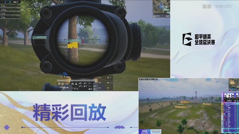 【2025-11-28 06点场】和平精英官方赛事：重播丨全球总决赛-精英赛DAY3
