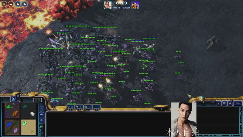 【2025-11-28 10点场】蓝桉LLan：蓝桉：早起的鸟儿