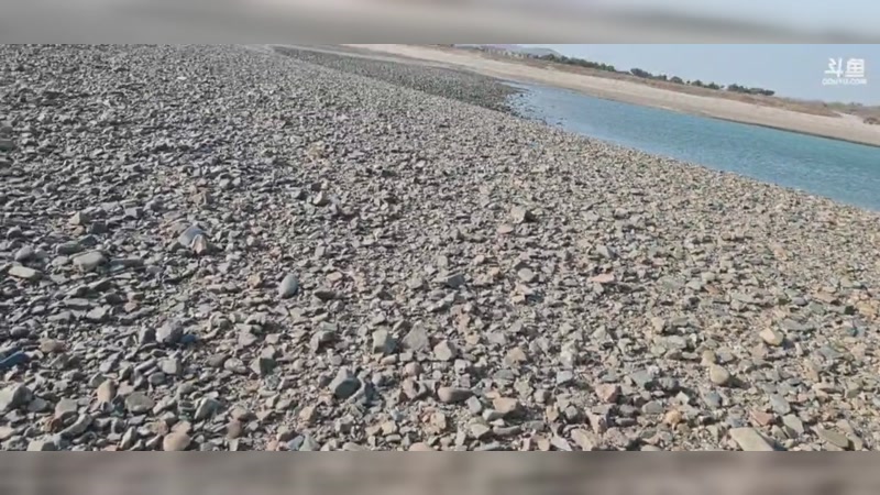 【2025-11-28 14点场】驴酱的冯雨大王：冯雨：还在高速上，预计十二点半来！