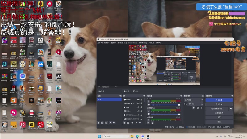 【2025-11-28 16点场】小白鸽WhiteDove：【小白鸽】钻粉限时138！！八点乐高！
