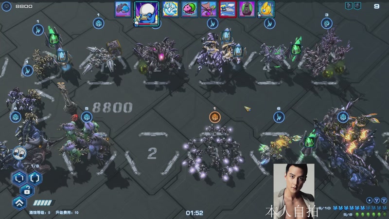 【2025-11-29 10点场】蓝桉LLan：蓝桉：早起的鸟儿