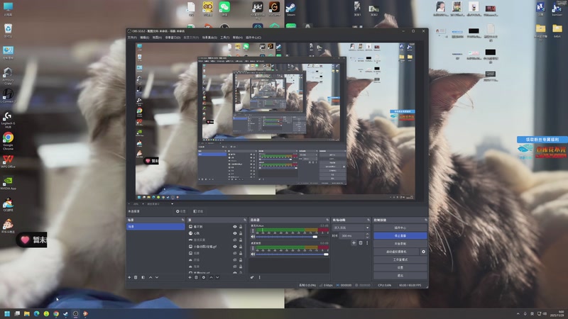 【2025-11-29 09点场】狐狸不太Sao：周二复查，塔一会