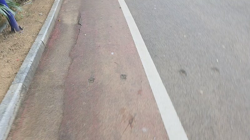 【2025-11-30 完整版】一条小团团OvO：年底总决赛 剑指第一！