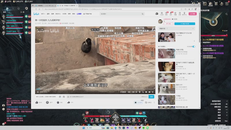 【2025-11-30 15点场】戴老六：魔1第一精灵