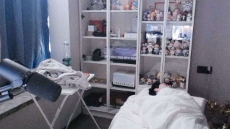 【2025-11-30 11点场】MrGemini：Gemini：不下播冲百星！