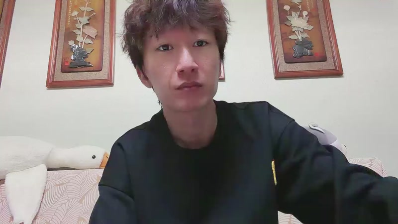 【2025-12-01 完整版】电棍：电棍：猛攻机密鞍山