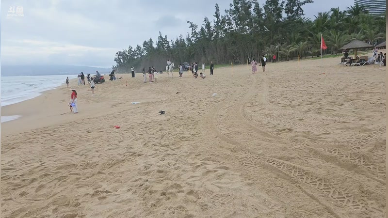 【2025-12-01 15点场】一条小团团OvO：年底总决赛 剑指第一！