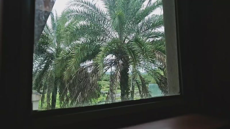 【2025-12-1 12点场】bulaQoQ:【小奶团】LOL户外凑凑日流水住房~