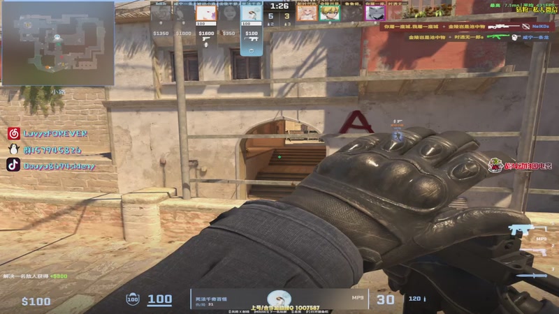 【2025-12-01 21点场】Sideny蛇：【呆猪】打拼12月！！