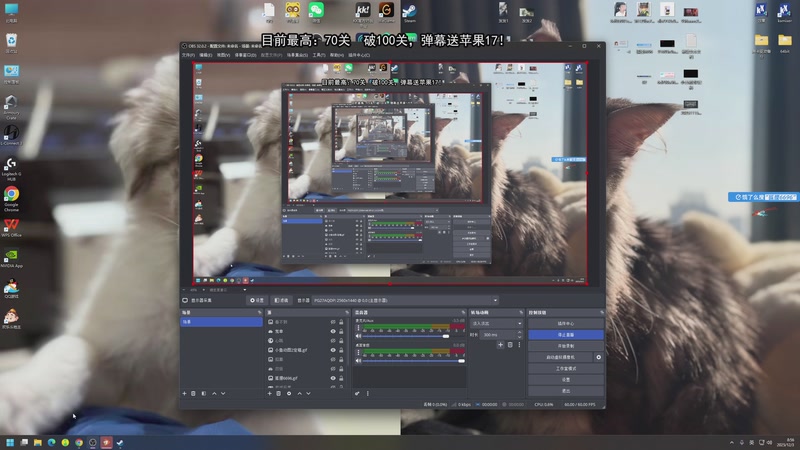 【2025-12-03 08点场】狐狸不太Sao：养眼一个月，day1