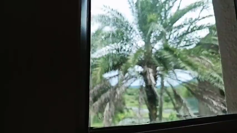 【2025-12-3 13点场】bulaQoQ:【小奶团】LOL户外凑凑日流水住房~