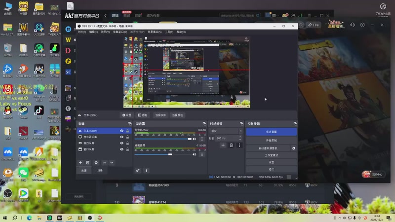 【2025-12-03 19点场】iameer0：【直播】7点直播WSB淘汰赛