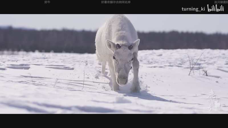 【2025-12-04 01点场】一番少侠29：鬼王归来！极乐迪斯科！