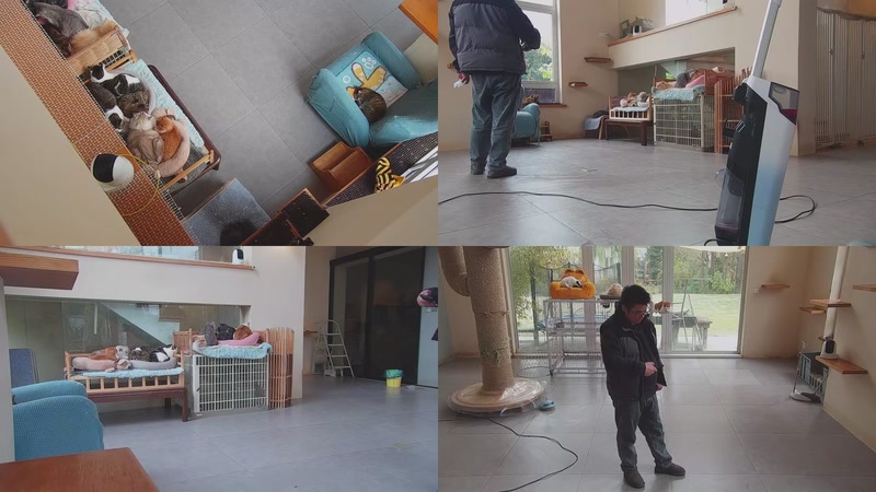 【2025-12-05 14点场】喵放送：喵放送☀️喵呜~