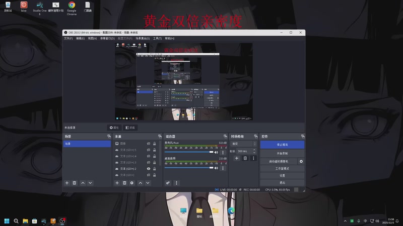 【2025-12-05 15点场】南枫阿i：来这里起飞就好了!!