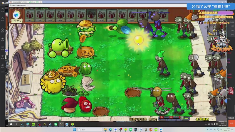 【2025-12-05 18点场】小白鸽WhiteDove：【小白鸽】研究一下新的植物大战僵尸！