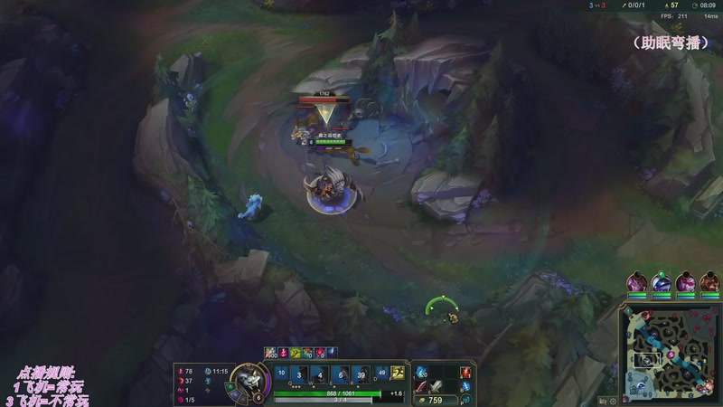 【2025-12-05 05点场】叶音符：新版本,野区万物生