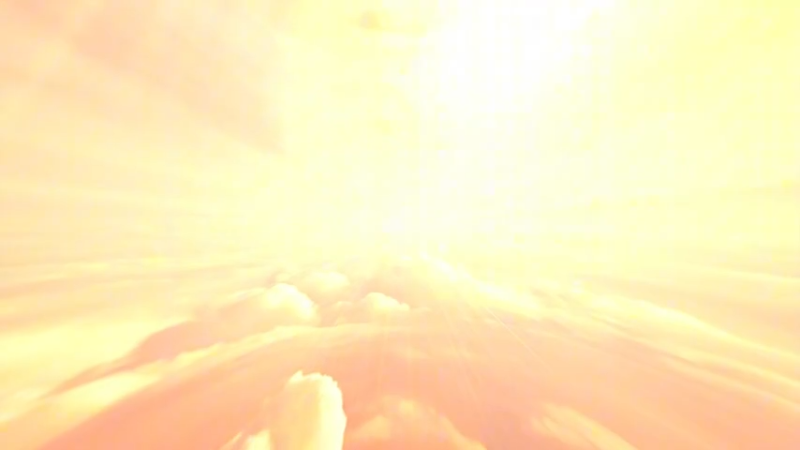 武汉市网络直播行业主播系列访谈（一）