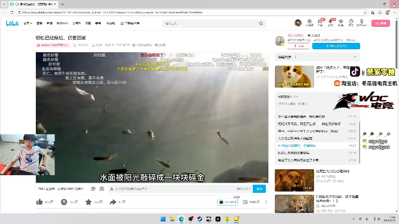 这是我剪辑的椰汁糕冬瓜强的直播精彩时刻，快来看看吧~