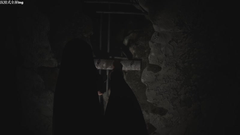 【2025-12-05 23点场】帅帅的汪团：AILA+夜勤人2：无尽宝库