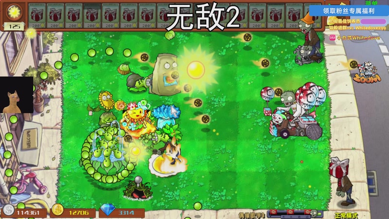 【2025-12-06 02点场】小白鸽WhiteDove：【小白鸽】研究一下新的植物大战僵尸！