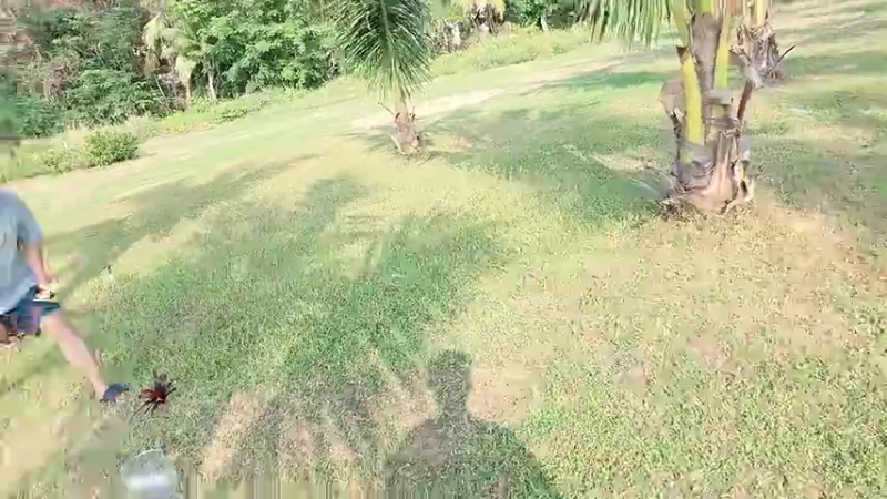 【2025-12-06 15点场】火力堂主：三亚愉快自律生活每一天！