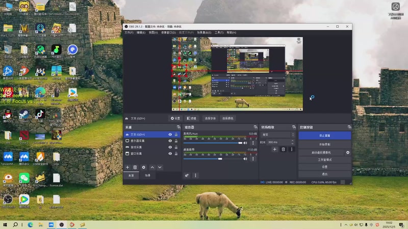 【2025-12-05 19点场】iameer0：【直播】7点直播WSB决赛日