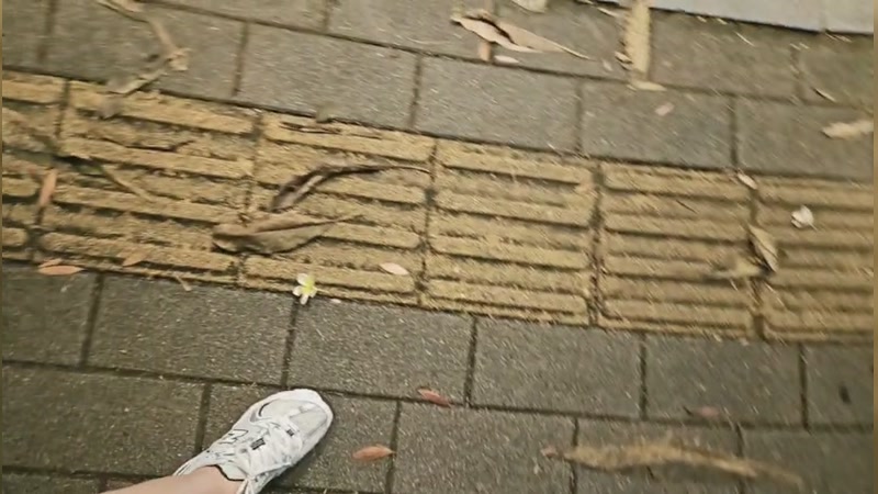 【2025-12-1 19点场】叫我好姑娘吧:三亚--主播来联盟