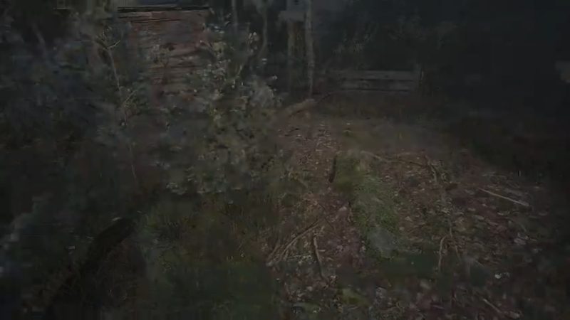 第11章：恐惧森林下（AILA）.mkv