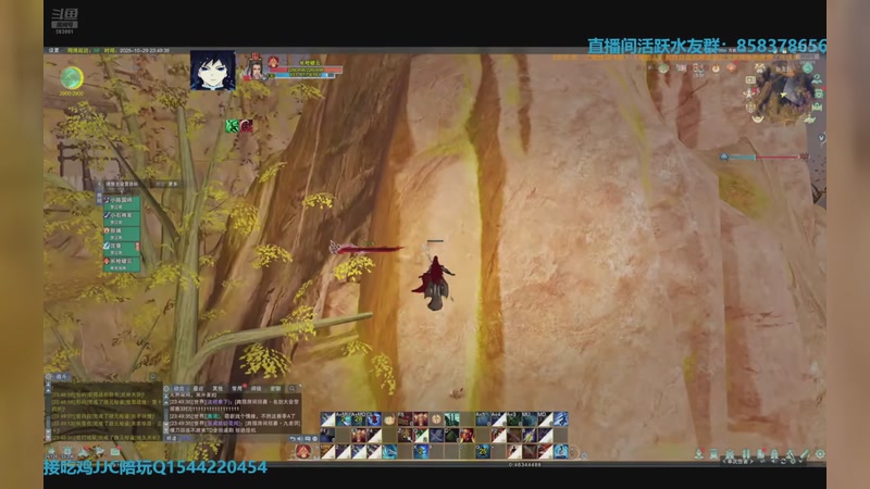 【2025-12-06 08点场】落叶听松：下午4点来！