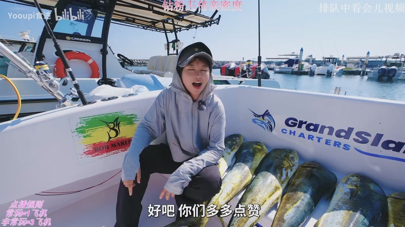 【2025-12-07 21点场】叶音符：新版本,野区万物生