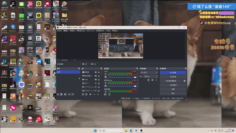 【2025-12-08 16点场】小白鸽WhiteDove：【小白鸽】双倍！活着！