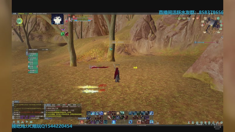 【2025-12-06 06点场】落叶听松：下午4点来！