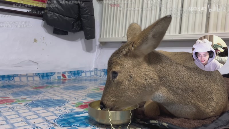 【2025-12-07 22点场】一番少侠29：【钻粉2.5倍】今日搬家中