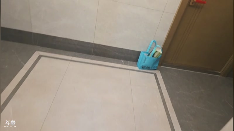 【2025-12-10 01点场】南枫阿i：200钻跟千千户外