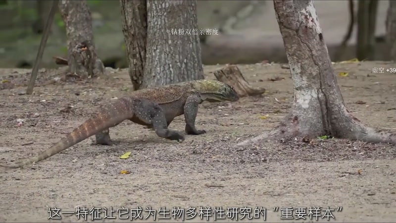 【2025-12-11 05点场】三酒OuO：风吹哪页读哪页。