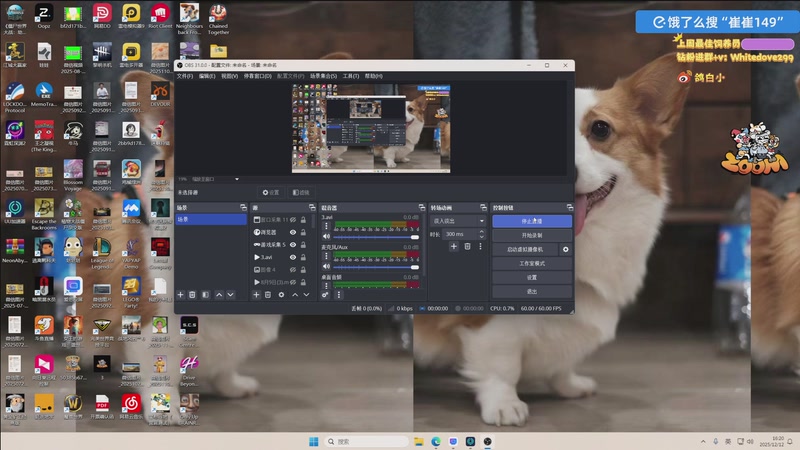 【2025-12-12 16点场】小白鸽WhiteDove：【小白鸽】蓝洞新游pbb 六点抽测试资格