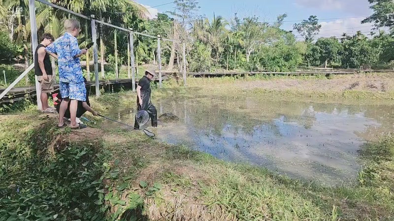 【2025-12-11 15点场】bulaQoQ:【小奶团】LOL户外凑凑日流水住房~