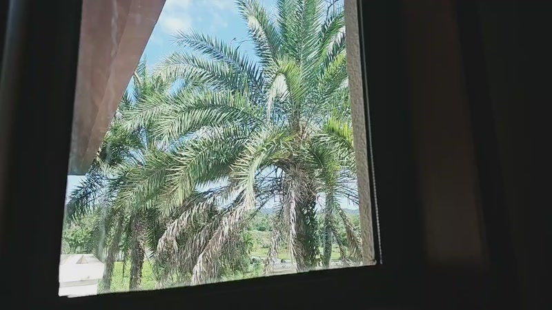 【2025-12-11 13点场】bulaQoQ:【小奶团】LOL户外凑凑日流水住房~