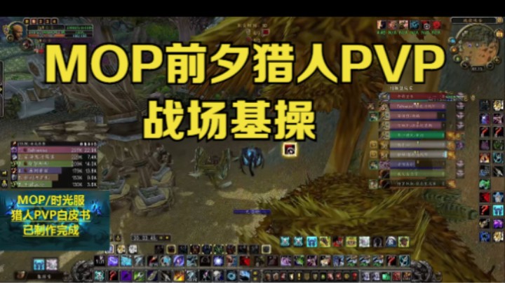 MOP前夕猎人PVP战场基操 #魔兽世界 #魔兽世界怀旧服 #魔兽世界pvp
