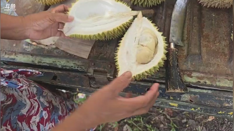 【2025-12-13 13点场】叶子户外：印尼巴厘岛day10