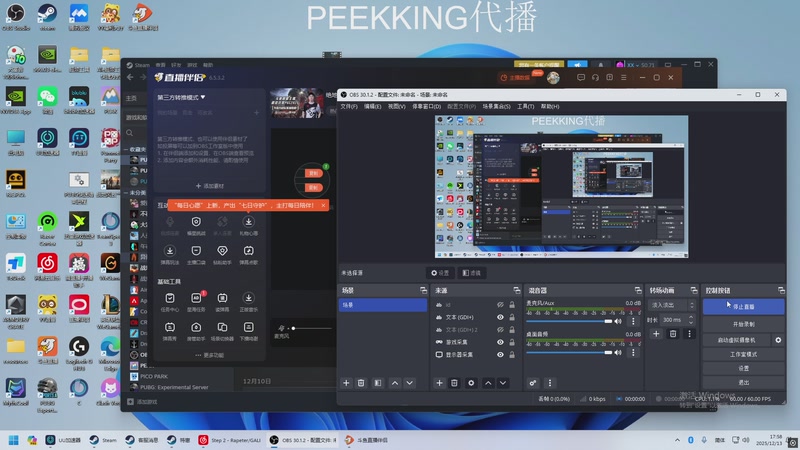 【2025-12-13 17点场】17shou丷：绝地求生！ 2267291