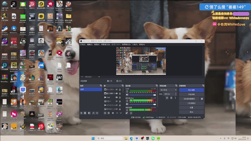 【2025-12-14 16点场】小白鸽WhiteDove：【小白鸽】双倍！周末好~