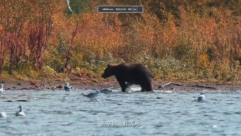 【2025-12-16 23点场】一番少侠29：【29】大婷，守住！