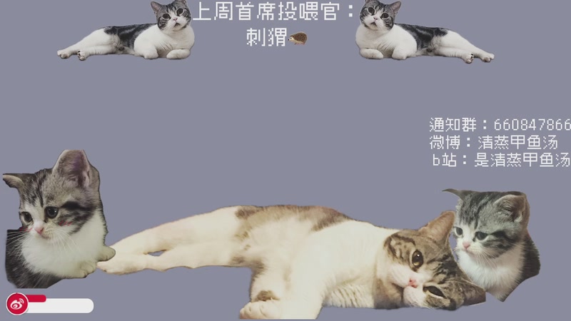 【2025-12-16 21点场】清蒸甲鱼汤：双倍：震撼非首发小机器人